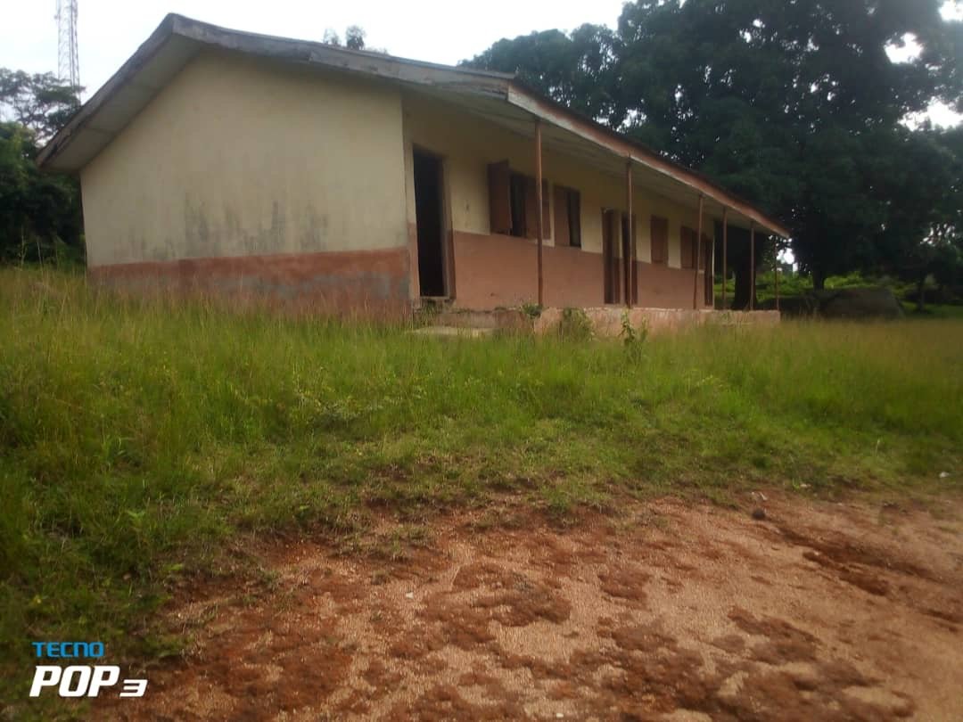 Asriel Foundation Community Work