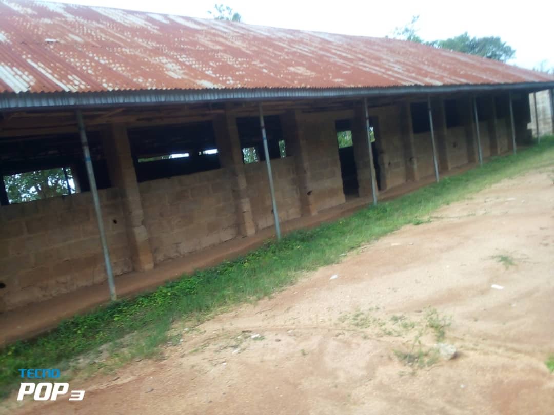 Asriel Foundation Community Work