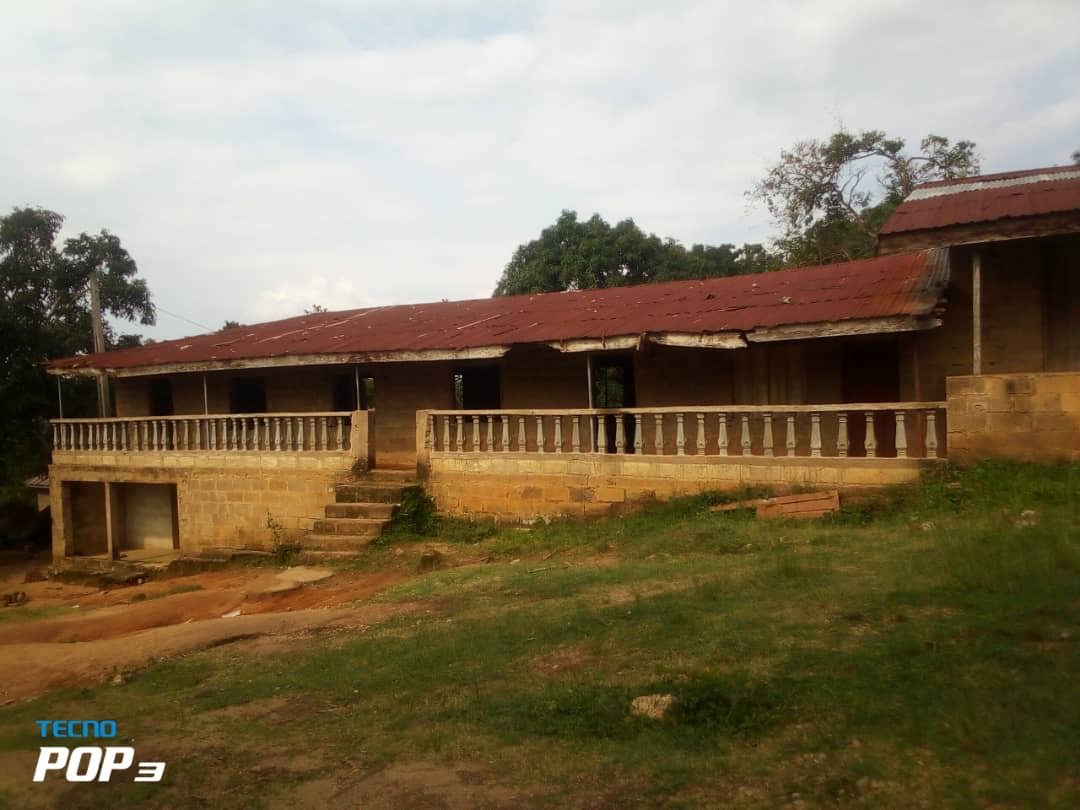 Asriel Foundation Community Work