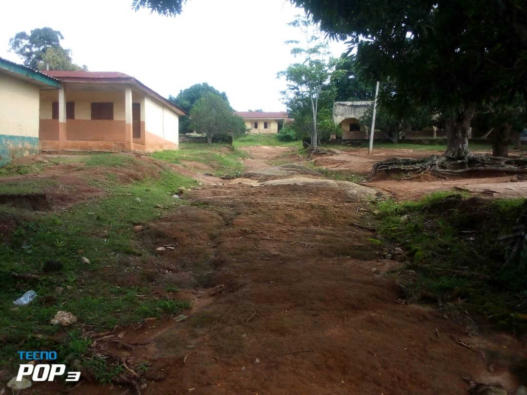 Asriel Foundation Community Work