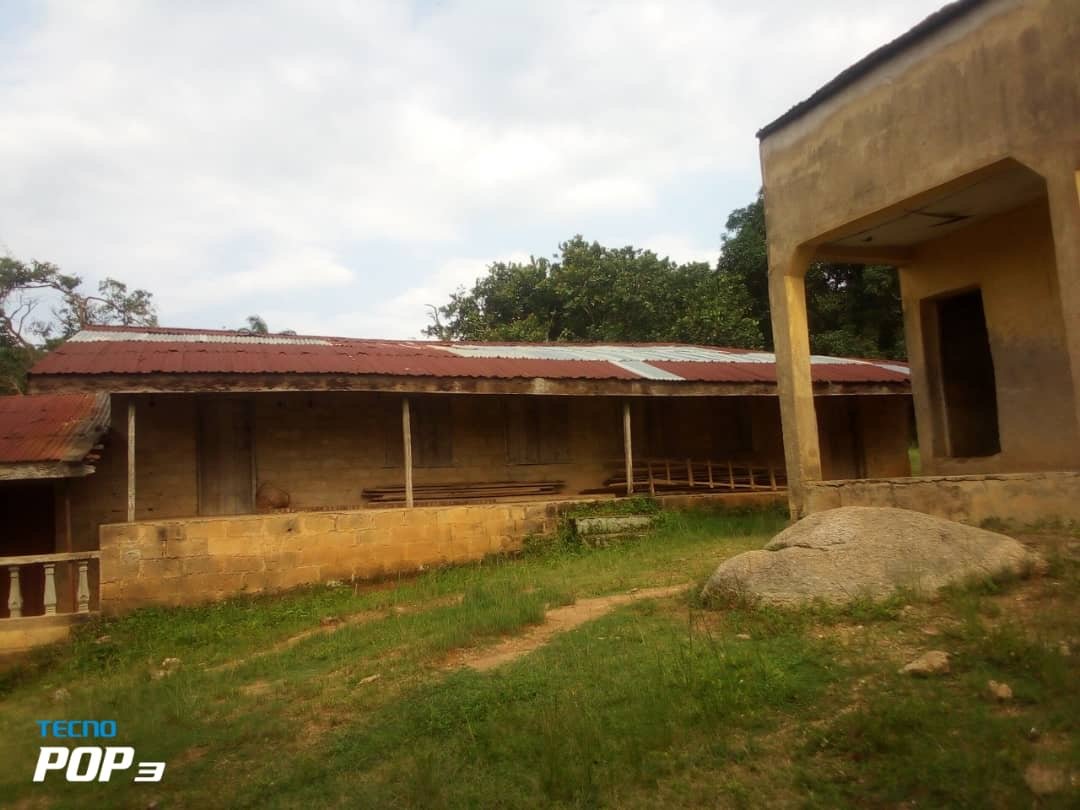 Asriel Foundation Community Work