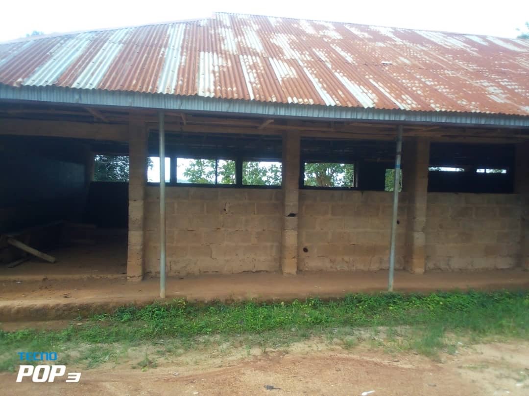 Asriel Foundation Community Work